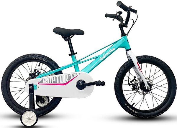 Xe đạp trẻ em Gorobike Raptor 18